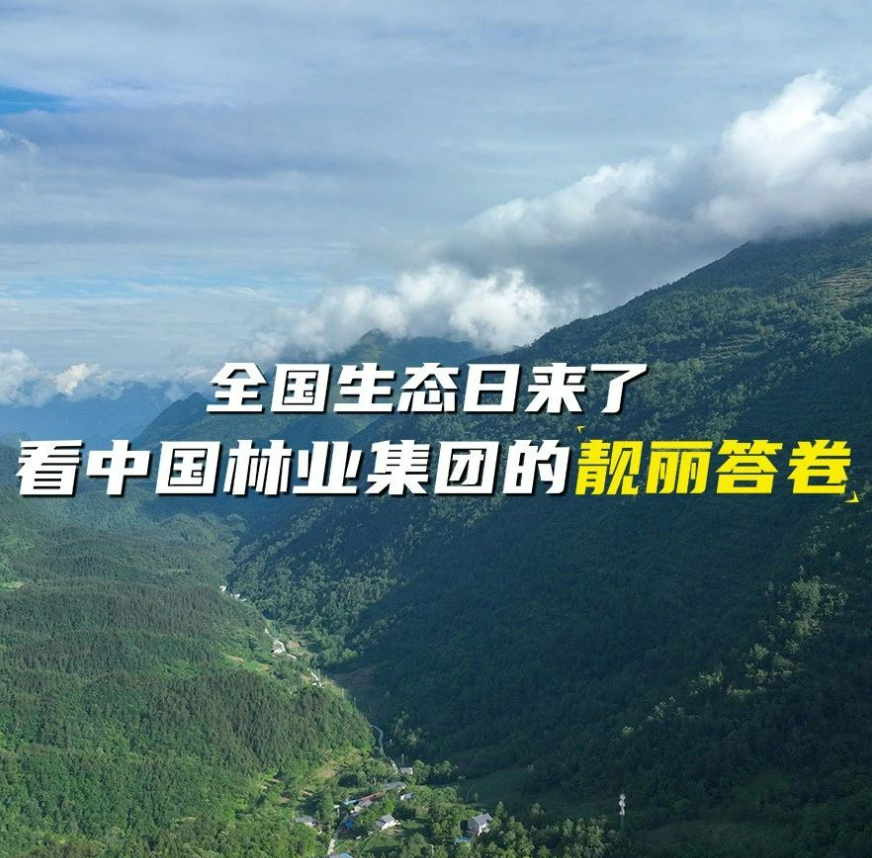 全國生態日來了！看中國林業集團的靚麗答卷
