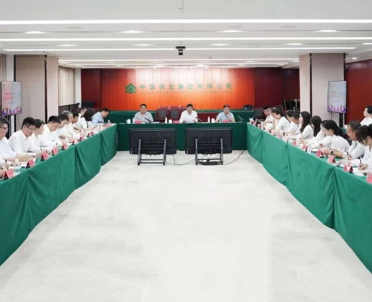 青春建功 實踐礪能——中國林業(yè)集團召開總部青年干部基層實踐活動成果交流會